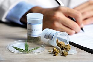 Cannabis auf Rezept