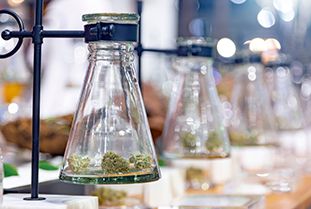 Cannabis im Glas